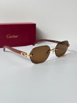Очки Cartier Артикул BMS-144551. Вид 2