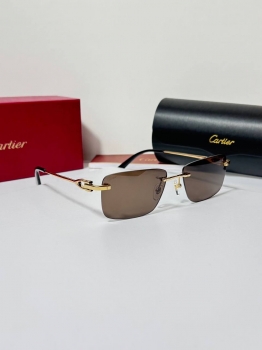Очки Cartier Артикул BMS-146129. Вид 2