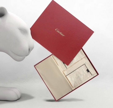 Комплект постельного белья Cartier Артикул BMS-146837. Вид 7