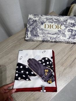 Платок Christian Dior Артикул BMS-147150. Вид 1