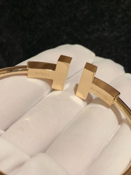 Браслет  Tiffany&Co Артикул BMS-147830. Вид 2