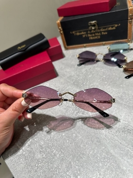 Очки Cartier Артикул BMS-147874. Вид 1