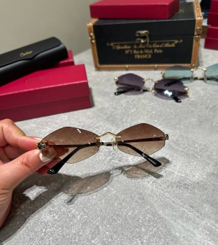 Очки Cartier Артикул BMS-147873. Вид 1