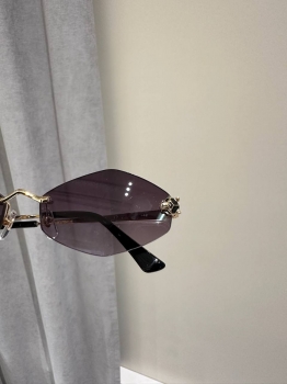 Очки Cartier Артикул BMS-147872. Вид 2