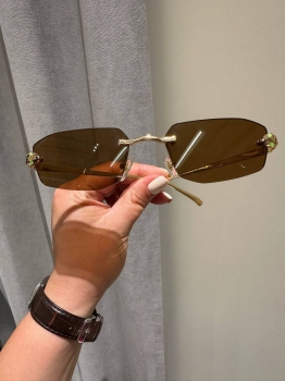 Очки Cartier Артикул BMS-147869. Вид 1