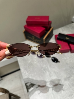 Очки Cartier Артикул BMS-147866. Вид 1