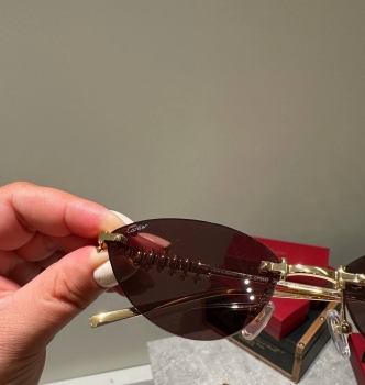 Очки Cartier Артикул BMS-147866. Вид 3