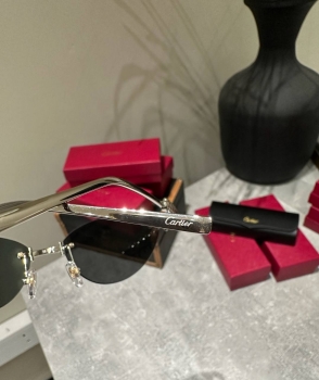 Очки Cartier Артикул BMS-147865. Вид 2