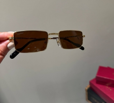 Очки Cartier Артикул BMS-147861. Вид 1