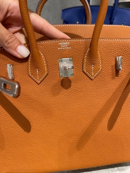Сумка женская Birkin 25, GHW Togo  Hermes Артикул BMS-149245. Вид 2