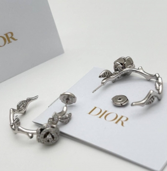 Серьги Christian Dior Артикул BMS-149517. Вид 1