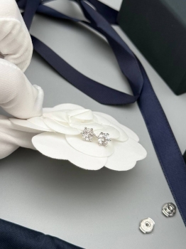 Серьги  Tiffany&Co Артикул BMS-149799. Вид 1