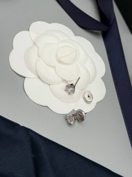Серьги  Tiffany&Co Артикул BMS-149799. Вид 2