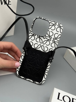 Чехол на Iphone 16 pro max  Loewe Артикул BMS-150730. Вид 2