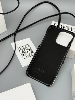 Чехол на Iphone 16 pro max  Loewe Артикул BMS-150730. Вид 3