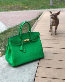 Сумка женская BIRKIN